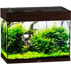 Купить Аквариум Biodesign Риф 60, силикатное стекло Pilkington Optifloat™, 4-5 мм, 60 л, 56x32x44 см, шторка для автокормушки, венге