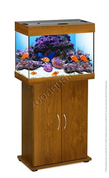 Купить Аквариум Biodesign Риф 60, силикатное стекло Pilkington Optifloat™, 4-5 мм, 60 л, 56x32x44 см, шторка для автокормушки, золотой дуб