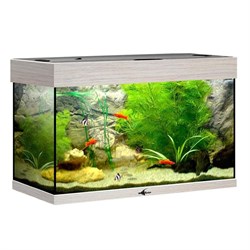 Купить Аквариум Biodesign Риф 80, силикатное стекло Pilkington Optifloat™, 4-6 мм, 82 л, 71x33x46 см, шторка для автокормушки, беленый дуб