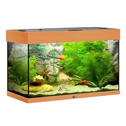 Купить Аквариум Biodesign Риф 80, силикатное стекло Pilkington Optifloat™, 4-6 мм, 82 л, 71x33x46 см, шторка для автокормушки, бук