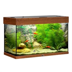 Купить Аквариум Biodesign Риф 80, силикатное стекло Pilkington Optifloat™, 4-6 мм, 82 л, 71x33x46 см, шторка для автокормушки, золотой орех