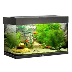 Купить Аквариум Biodesign Риф 80, силикатное стекло Pilkington Optifloat™, 4-6 мм, 82 л, 71x33x46 см, шторка для автокормушки, черный