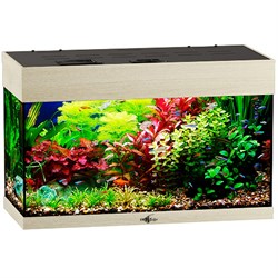 Купить Аквариум Biodesign Startup 50, силикатное стекло Pilkington Optifloat™, 4 мм, 50 л, 60x27.5x38 см, шторка для автокормушки, LED светильник, беленый дуб