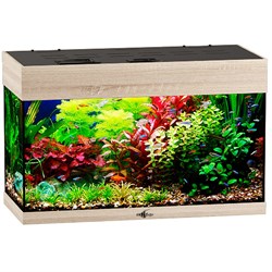 Купить Аквариум Biodesign Startup 50, силикатное стекло Pilkington Optifloat™, 4 мм, 50 л, 60x27.5x38 см, шторка для автокормушки, LED светильник, дуб сонома