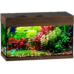 Купить Аквариум Biodesign Startup 50, силикатное стекло Pilkington Optifloat™, 4 мм, 50 л, 60x27.5x38 см, шторка для автокормушки, LED светильник, орех