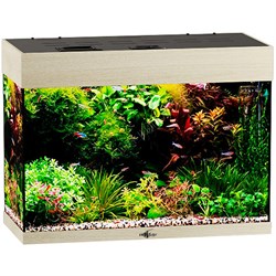 Купить Аквариум Biodesign Startup 60, силикатное стекло Pilkington Optifloat™, 4-5 мм, 60 л, 60x27.5x45 см, шторка для автокормушки, LED светильник, беленый дуб