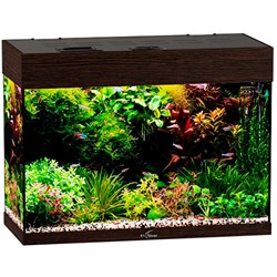 Купить Аквариум Biodesign Startup 60, силикатное стекло Pilkington Optifloat™, 4-5 мм, 60 л, 60x27.5x45 см, шторка для автокормушки, LED светильник, венге