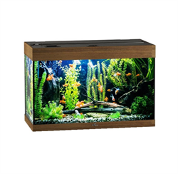 Купить Аквариум Biodesign Риф 125, силикатное стекло Pilkington Optifloat™, 5-6 мм, 125 л, 81x38x52 см, шторка для автокормушки, золотой дуб