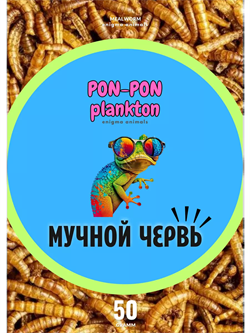 Мучной червь сушёный Pon-Pon Plankton, 50 г (развес) - фото 50988