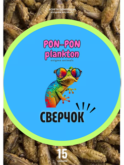 Сверчок сушёный Pon-Pon Plankton, 15 г (развес) - фото 50993