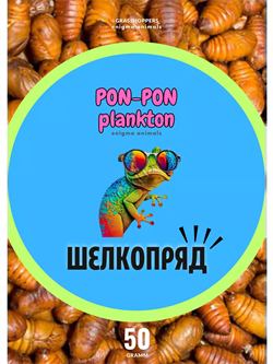 Шелкопряд сушёный Pon-Pon Plankton, 50 г (развес) - фото 51076