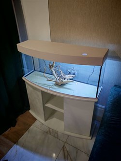 Аквариум Aqua Телик 220 л. с тумбой - фото 51202