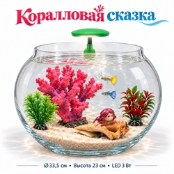 Круглый аквариум «Коралловая сказка» с кораллами, ракушкой и светильником LED057 на заднем бортике