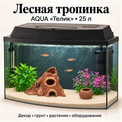 Аквариум Aqua «Телик» 25 л «Лесная тропинка» с глиняным декором, растениями и включённым освещением