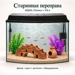 Аквариум Aqua «Телик» 45 л «Старинная переправа» с глиняным декором, растениями и включённым освещением