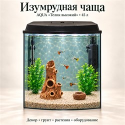 Аквариум Aqua «Телик» высокий 45 л «Изумрудная чаща» с глиняным декором, растениями и включённым освещением