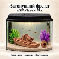 Аквариум Aqua «Телик» 78 л «Затонувший фрегат» с глиняным декором, растениями и включённым освещением