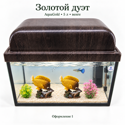 Оформление 1 — AquaGold 5 л, венге: оформление «Золотой дуэт», общий вид