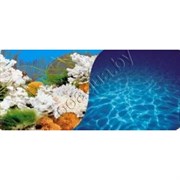 9029/9063/60 Кораллы голубой/Солнечные блики синий  60см 1m
