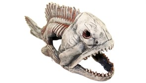 Скелет рыбы №904