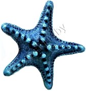 Звезда малая (синий) К-01с