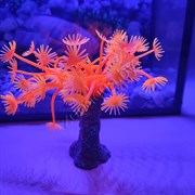 Коралл силиконовый красный 3.5х3.5х14см (SH139R)