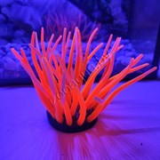 Коралл силиконовый красный 5.5х5.5х10см (SH499R)