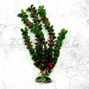 Пластиковое растение Plant 02230 Людвигия ползучая 30см