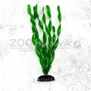 Пластиковое растение Plant 00530 Валиснерия широколистная 30см