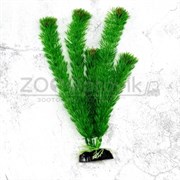 Пластиковое растение Plant 00230 Амбулия 30см