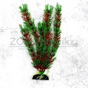 Пластиковое растение Plant 00130 Перестолистник красный 30 см