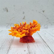 Коралл корона оранж акрил Кр-221