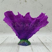 Коралл веер фиолетовый Кр-1432