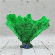 Коралл веер зеленый Кр-1424
