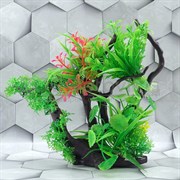 Растения 25D710