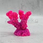Коралл рога розовый Кр-626