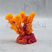 Коралл рога оранжевый Кр-621