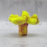 Коралл лилия желтый акрил Кр-427