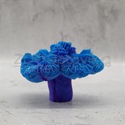Коралл лилия голубой акрил Кр-423