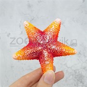 Звезда средняя оранжевая Кр-2121