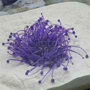 Декор из силикона Коралл фиолетовый мягкий (7.5x7.5x10)