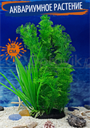 Растение для аквариума (30 см) Silver Berg №134