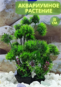 Растение для аквариума (30 см) Silver Berg №130