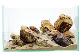 Набор камней GLOXY "Окаменелое дерево" разных размеров 1 кг