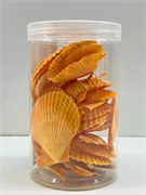 Shell012 Набор морских раковин в банке 800мл/300-400гр