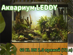 Аквариум LEDDY 60 XL DN 2.0 прямой (72 л)