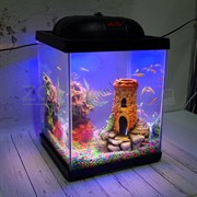 Аквариум Куб Aqua Glo на 30л. день/ночь с рыбками данио GloFish
