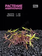 Купить Водоросли аквариумные искусственные ZooAqua S229 2.5x5 см
