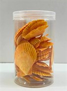 Купить Набор морских раковин в банке Shell012 800 мл/300-400 г