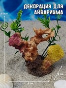 Купить Декорация для аквариума акриловая ZooAqua Кораллы 9х6 см